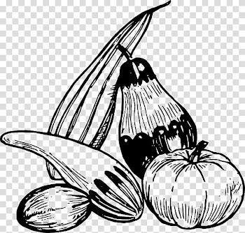 Drawing Vegetable Line art , vegetable transparent background PNG clipart
