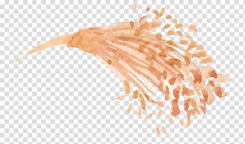 Drawing Watercolor painting Illustration, Aloe transparent background PNG clipart