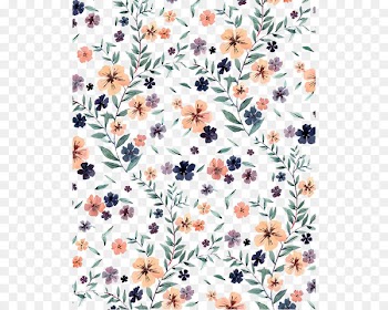 Drawing Watercolor painting Illustration - Floral 