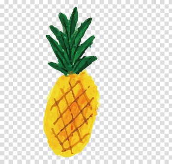 Drawing Watercolor painting Illustrator Illustration, Hand drawn card love pineapple transparent background PNG clipart