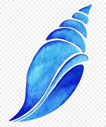Drawing Watercolor painting - Look Conch 