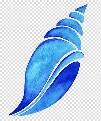 Drawing Watercolor painting, Look Conch transparent background PNG clipart