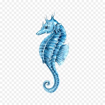 Drawing Watercolor painting Seahorse Clip art - Green hippocampus 