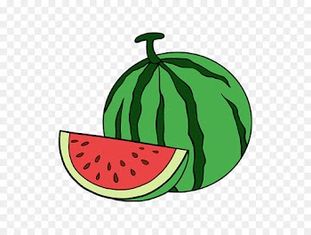 Drawing, Watermelon, Basic Drawing, Melon PNG