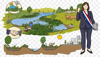 Drawing Wetland Illustration Natural environment Water resources -  