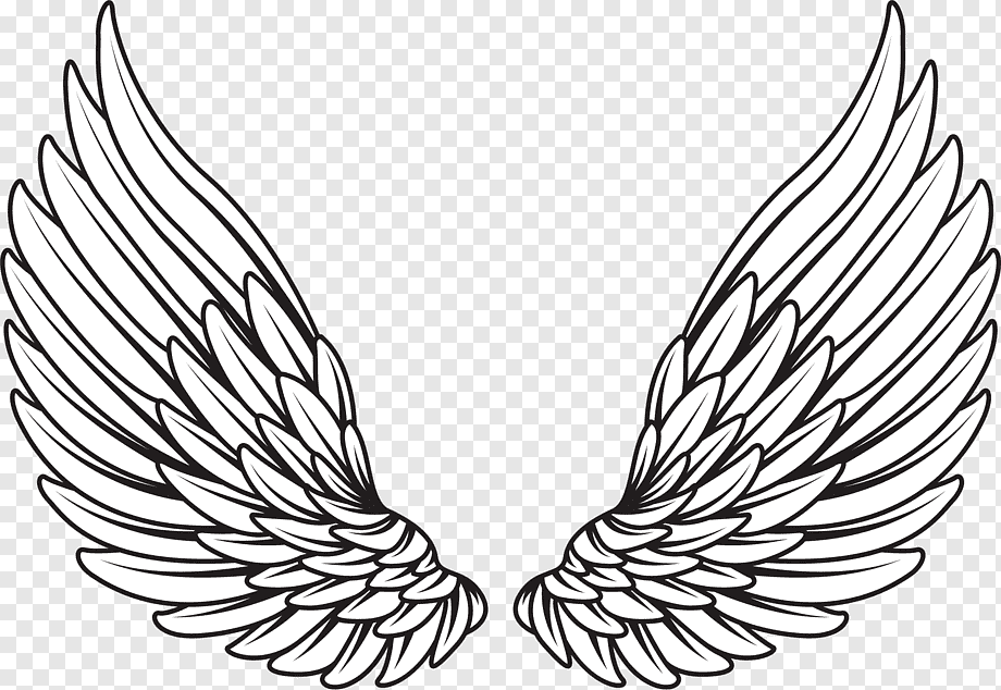 Drawing, wings angel, face, leaf, monochrome png
