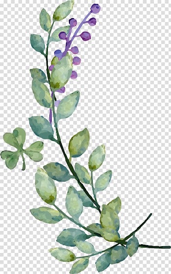 Drawing YouTube, others transparent background PNG clipart