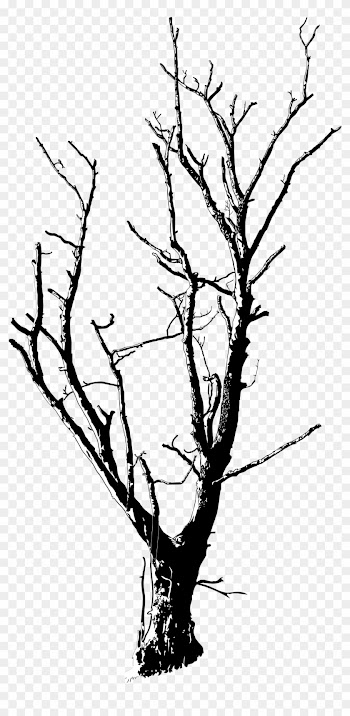 Drawn Dead Tree Dead Flower - Dead Tree Black And White