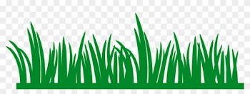 Drawn Lawn Marsh Grass - Grass Border Clip Art