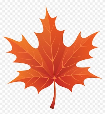 Drawn Maple Leaf Transparent - Autumn Leaf Clipart