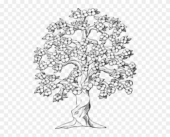 Drawn Roots Tree Illustration - Big Family Tree Drawing