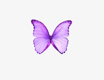 Dream Purple Butterfly PNG, Clipart, Animal, Butterfly, Butterfly ...