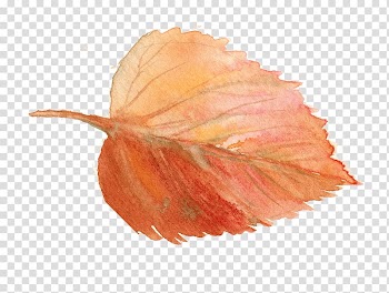 Dreamcatcher Leaf Yarn, dreamcatcher transparent background PNG clipart