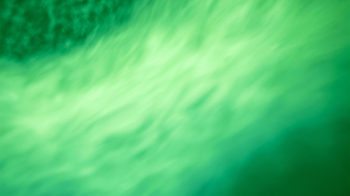 Dreamy Abstract Green Gradient Background