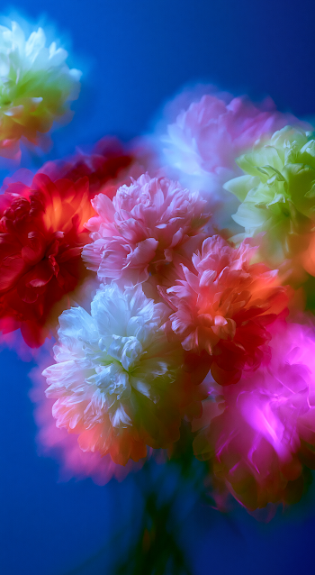 Dreamy Floral Composition