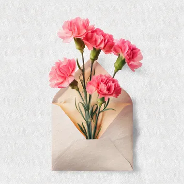 Dreamy Pink Carnations in Envelope Watercolor Illustration Dreamy Pink Carnations in Envelope Watercolor Illustration
