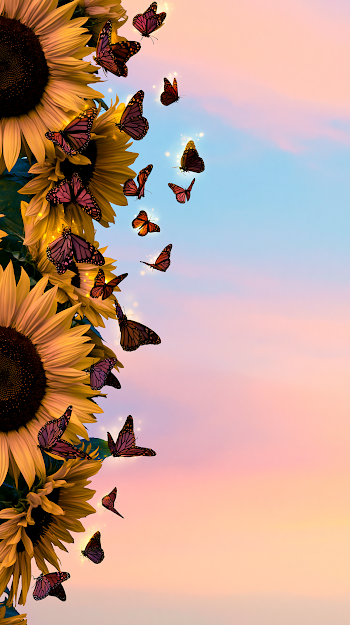 Dreamy Summer Sunset with Sunflowers and Butterflies
