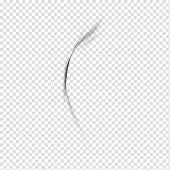Dreamz Collective , black and white abstract painting transparent background PNG clipart
