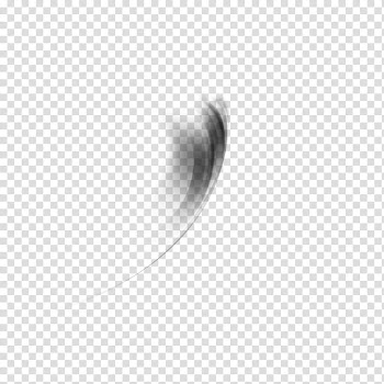 Dreamz Collective , black and white abstract painting transparent background PNG clipart