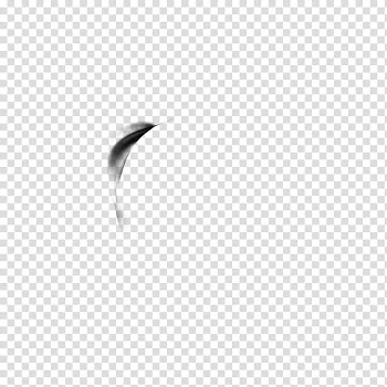 Dreamz Collective , black and white abstract painting transparent background PNG clipart