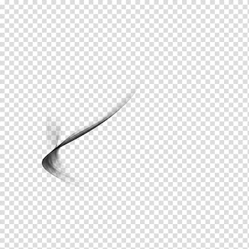 Dreamz Collective , black and white abstract painting transparent background PNG clipart