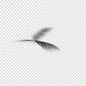Dreamz Collective , black and white abstract painting transparent background PNG clipart