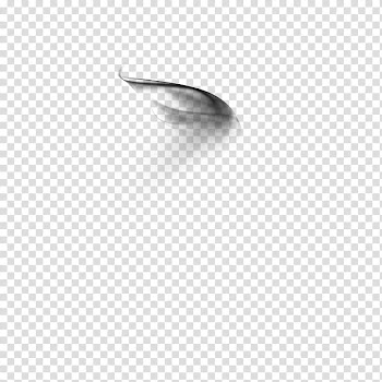 Dreamz Collective , black and white abstract painting transparent background PNG clipart