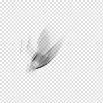 Dreamz Collective , black and white abstract painting transparent background PNG clipart