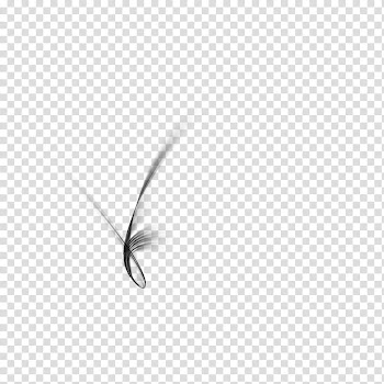 Dreamz Collective , black and white abstract painting transparent background PNG clipart