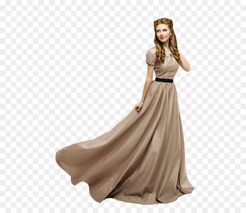 Dress Evening gown Stock photography Model - Cinderella model 