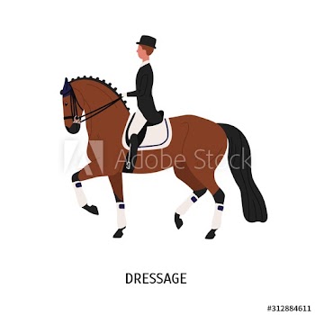 Dressage, horse riding flat vector illustration