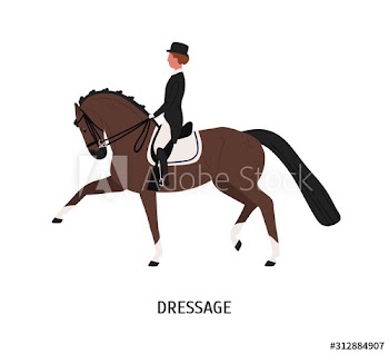 Dressage, horseback riding flat vector illustration
