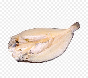 Dried and salted cod Stockfish Fishing - A cut of fish 