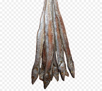 Dried fish Fish products Fish meal Tuna - fish 