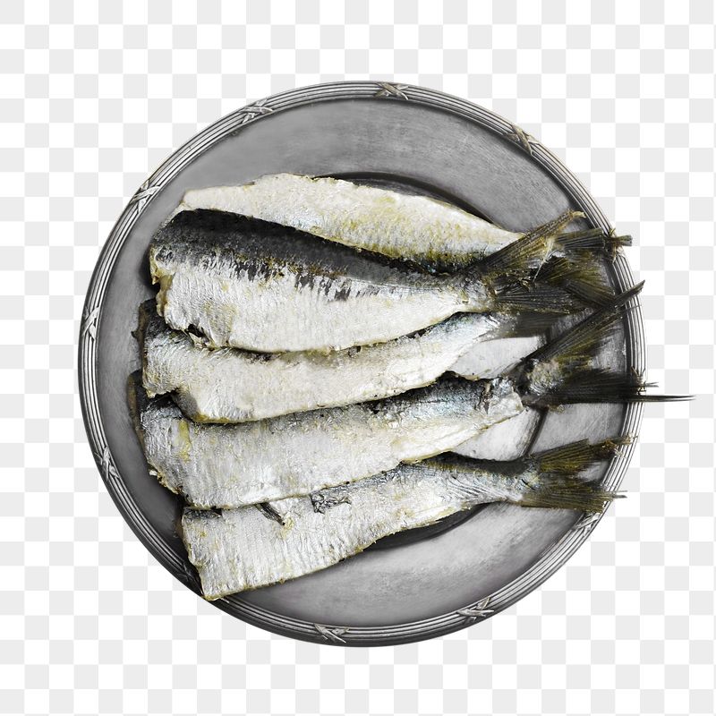 Dried fish png sticker, transparent | Free PNG - rawpixel