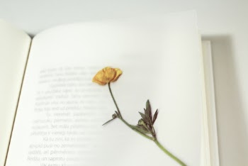 Dried Flower On A Book Page