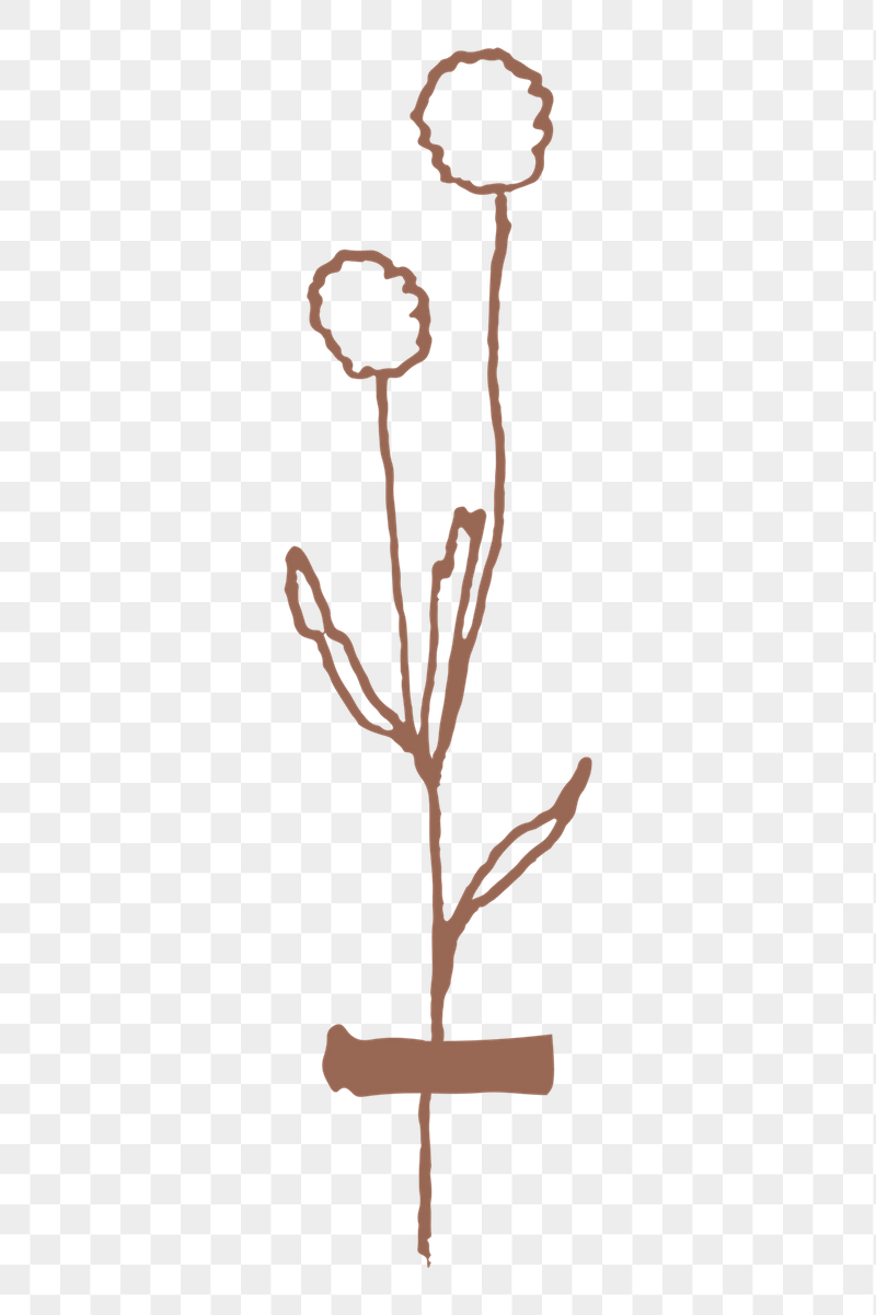 Dried flower sticker, brown drawing | Free PNG - rawpixel