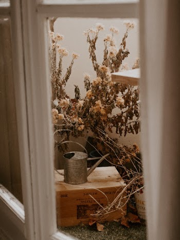 Dried Flowers and Watering Can Outside