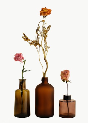 Dried flowers in brown glass vases design element | Free  transparent png - 2334206