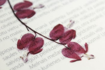Dried Flowers with Printed Text