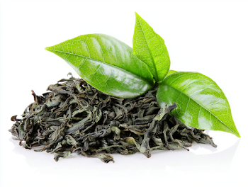 Dried Green Tea Leaves with Fresh Leaves