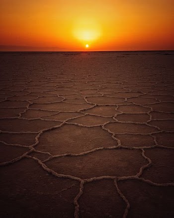 dried land at golden hour
