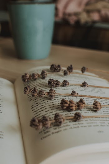 Dried Lavender on Book