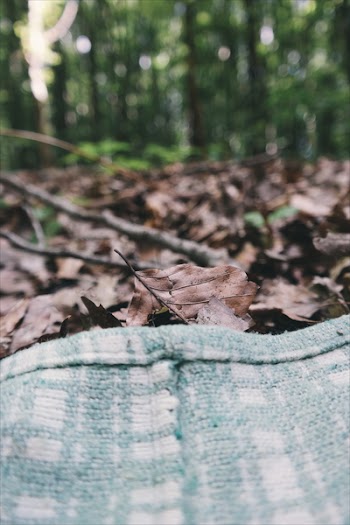 Dried Leaves
