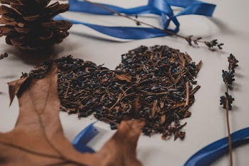 Dried Leaves