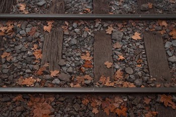 dried leaves and stones on train tracks