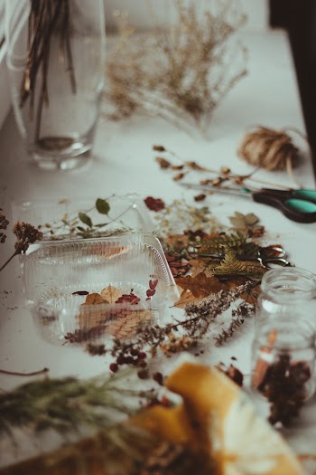 Dried Leaves On A Clear Plastic Container