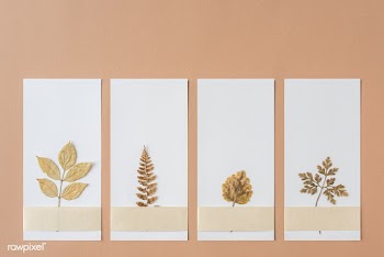 Dried leaves on cards mockup | Free stock psd mockup - 531772
