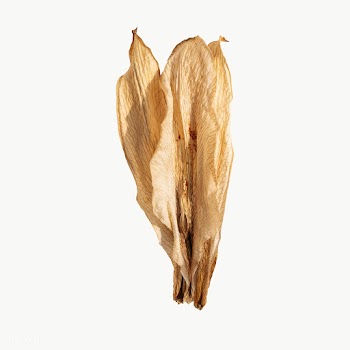 Dried lily flower design element | Free  transparent png - 2337086