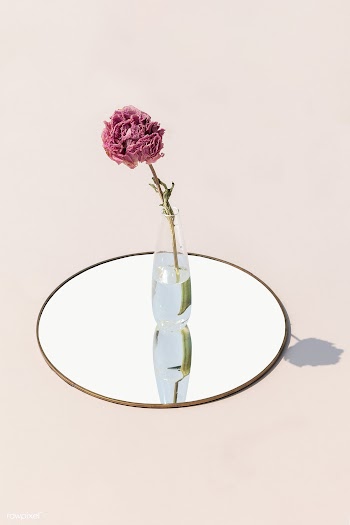 Dried pink peony flower in a clear vase | Free  transparent png - 2336886